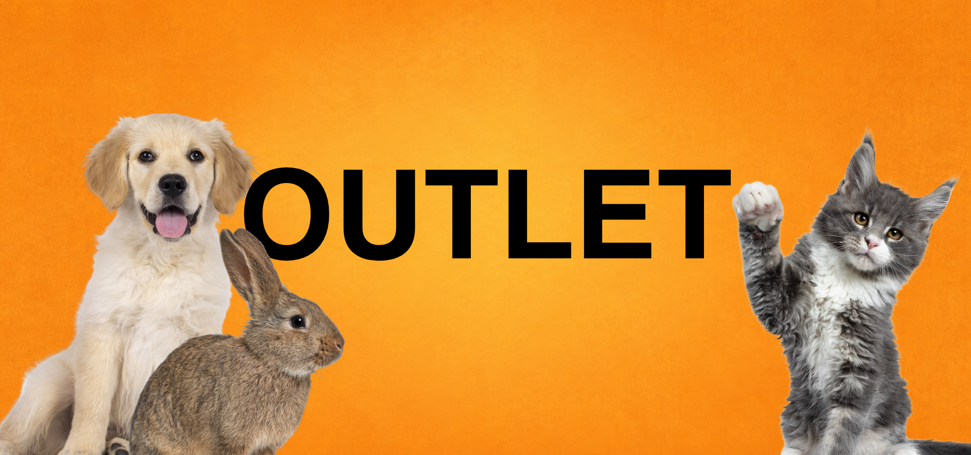 Outlet Katt