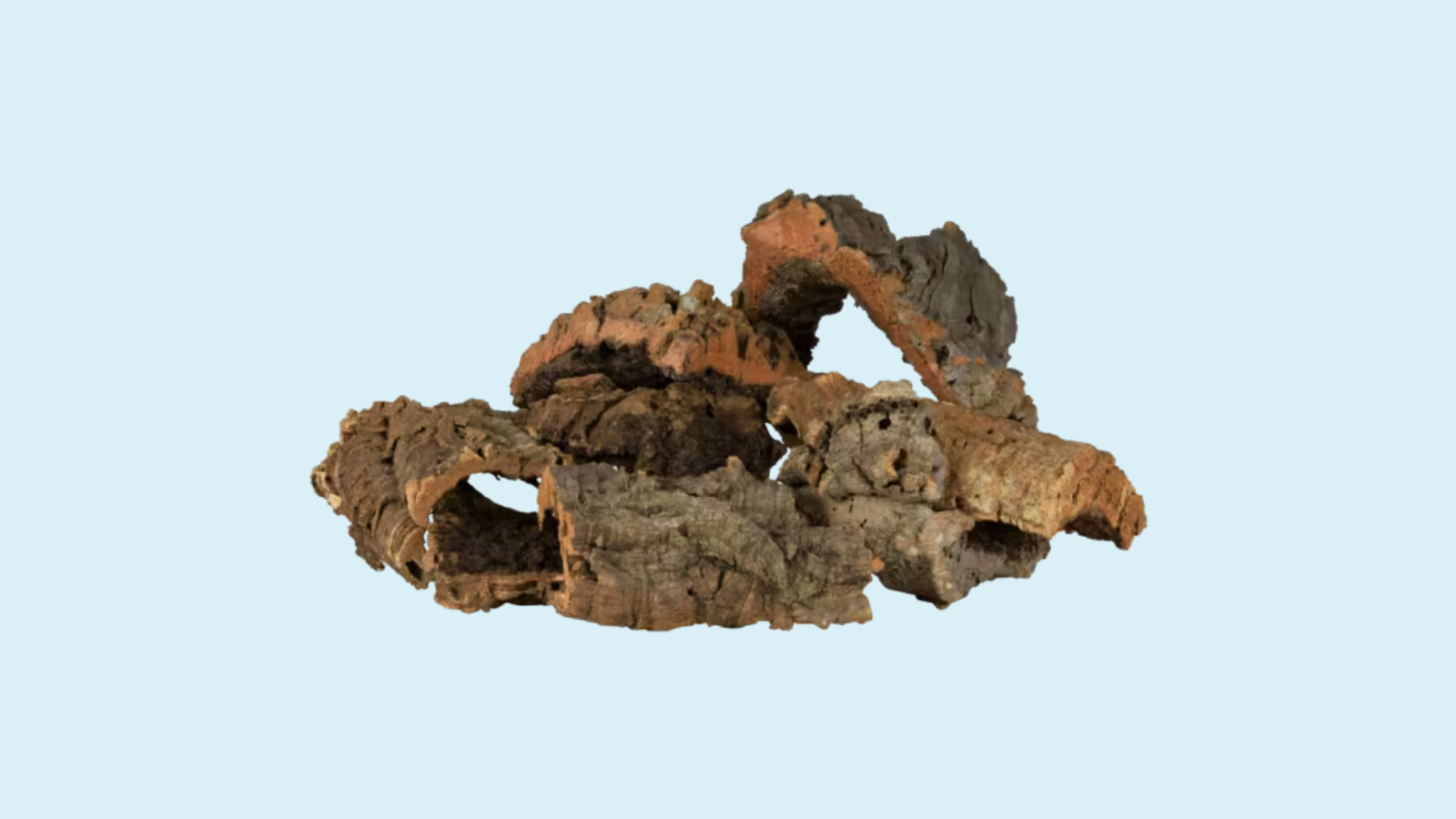 Reptildekor