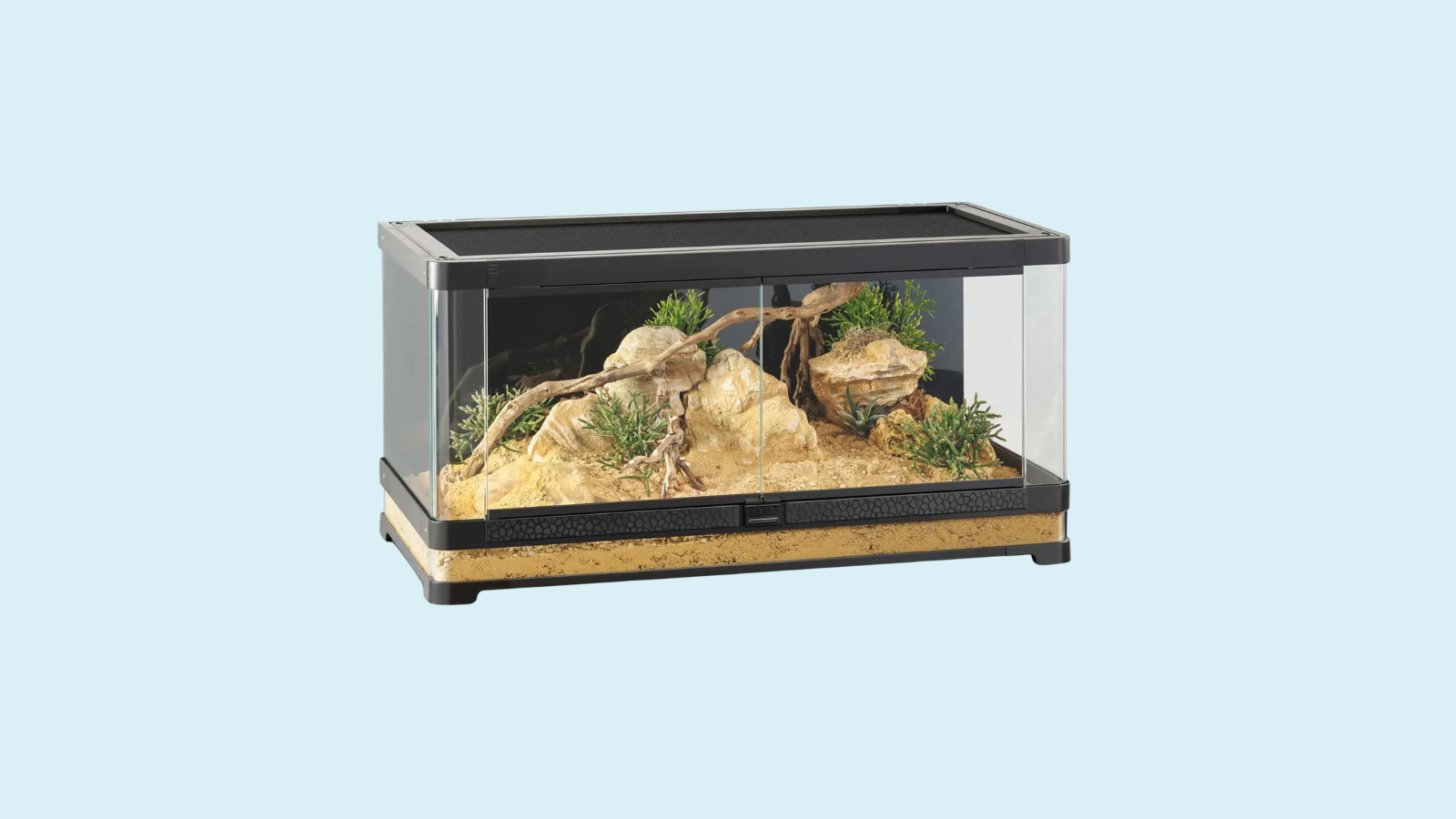 Terrarium