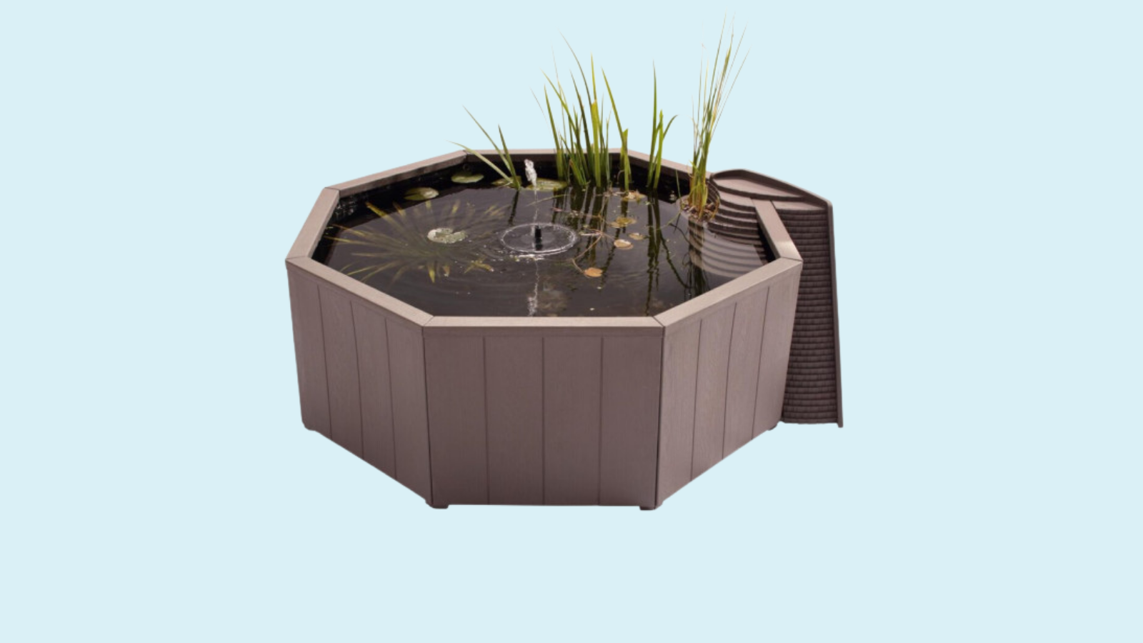 Dam