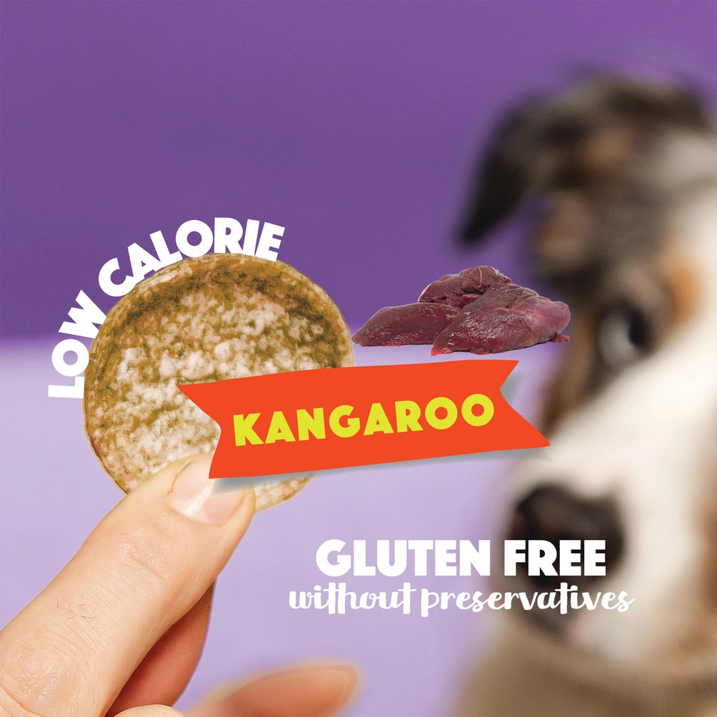 Smoofl Dog Chips Kenguru 50 g – Kaloriefattig hundesnacks