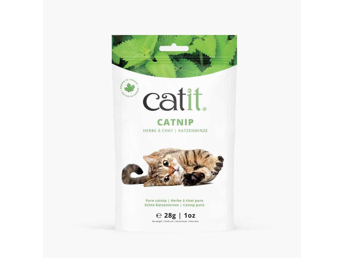 Catit kattemynte 28 g – pose med ren tørket kattemynte