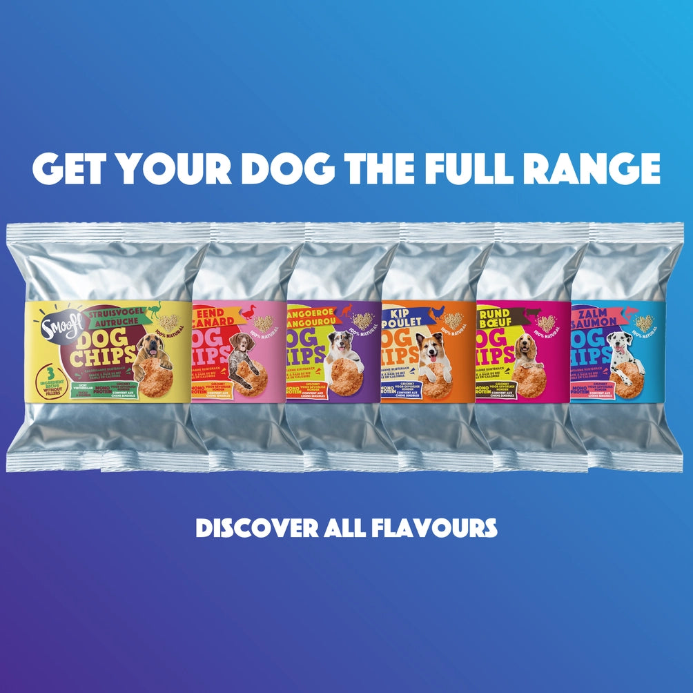 Smoofl Dog Chips Laks 50 g – Kaloriefattig hundesnacks