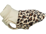 Ajou leopard
