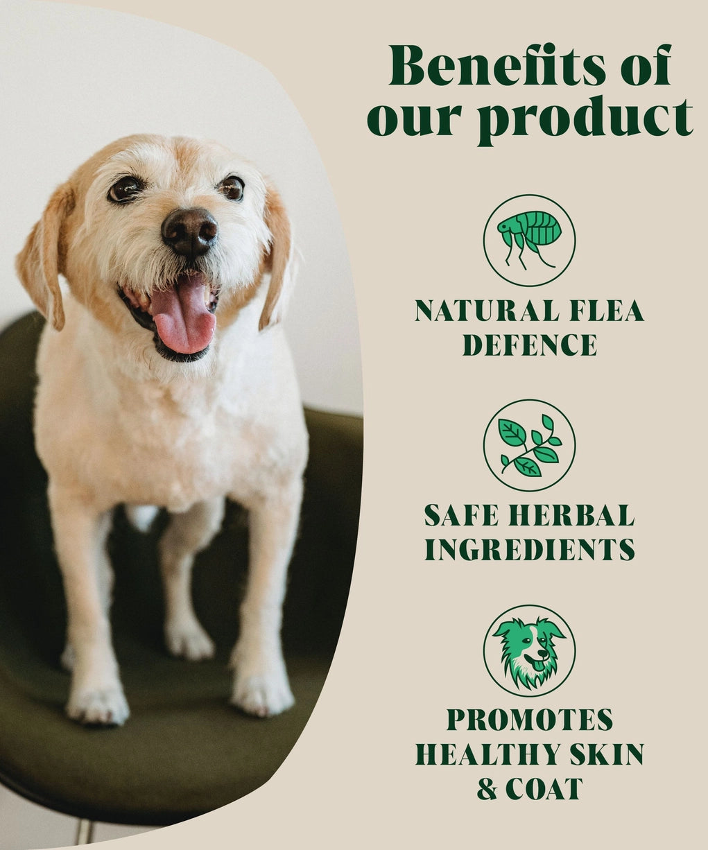 Herbal Flea & Tick For Dogs – Hackney Dog House Urteblanding 200 g