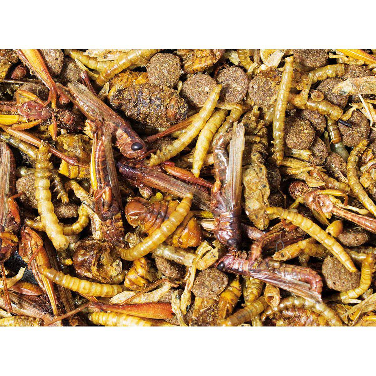 JR Farm Garden Pinnsvinsnacks 100 g – Godbit til hagens pinnsvin