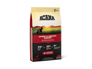 Sport & Agility