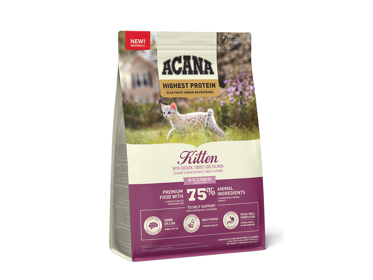 Acana Highest Protein Kitten