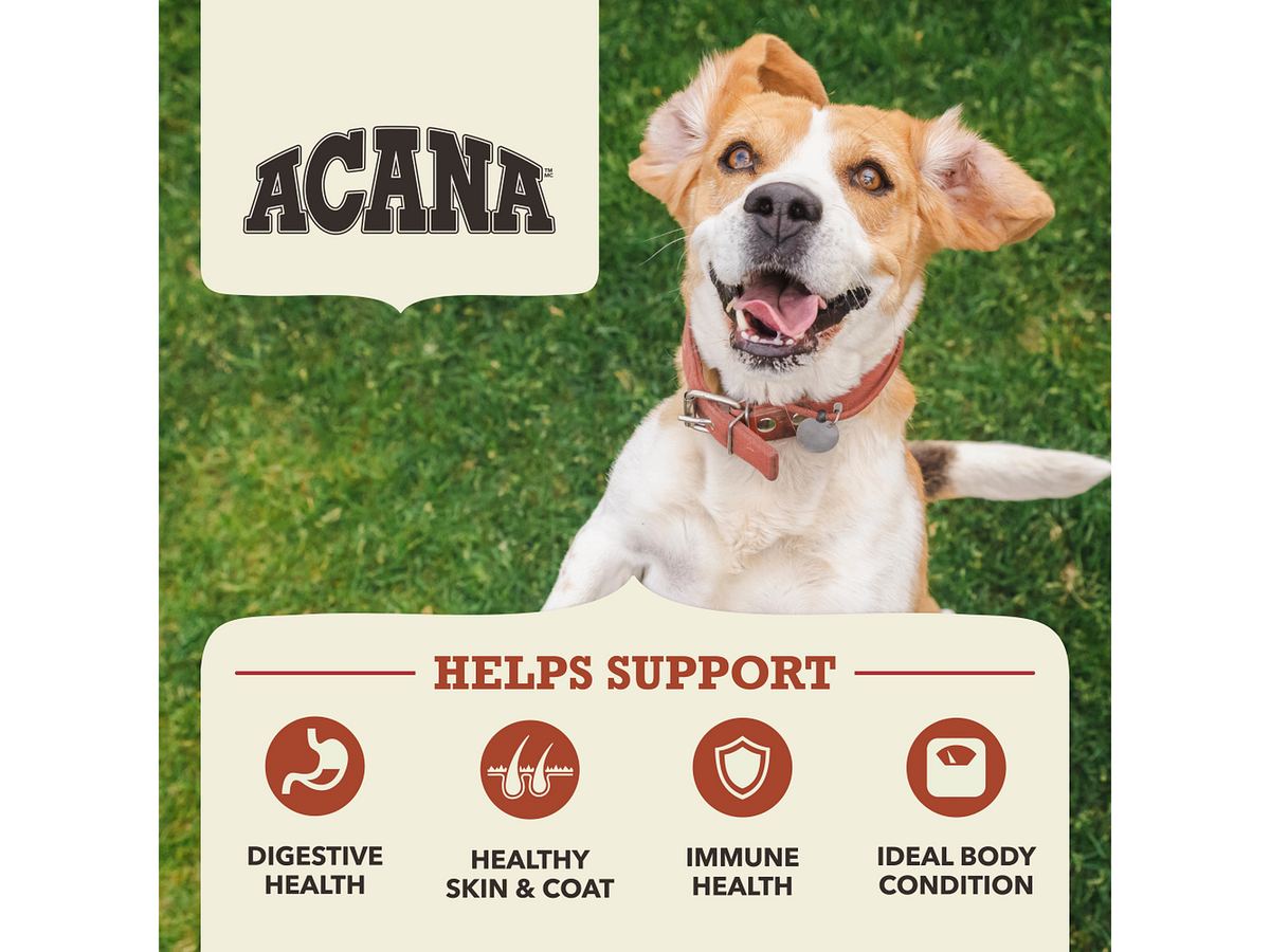 Acana Singles Beef & Pumpkin