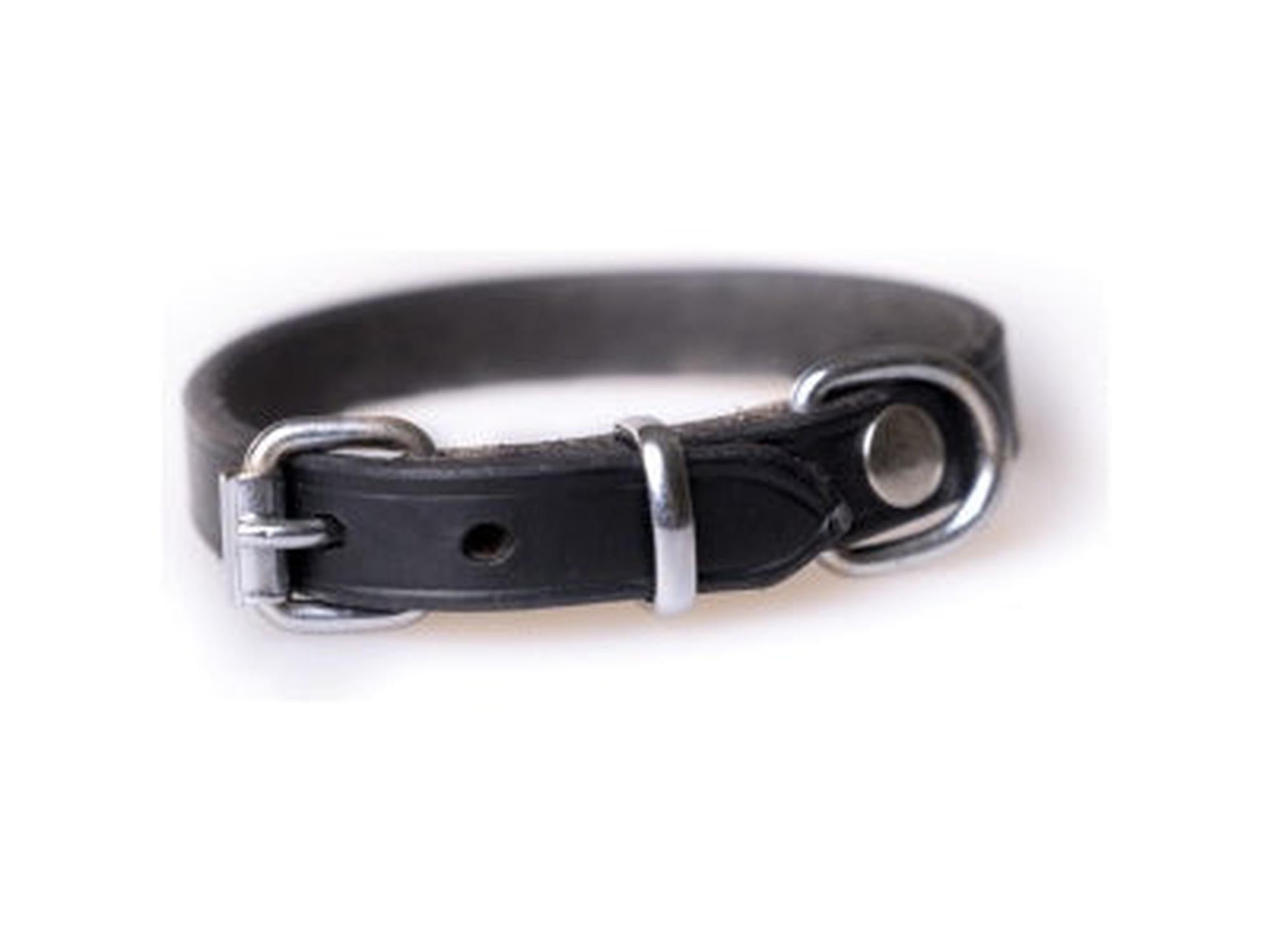 Active Canis Leather Collar Black svart lærhalsbånd til hund