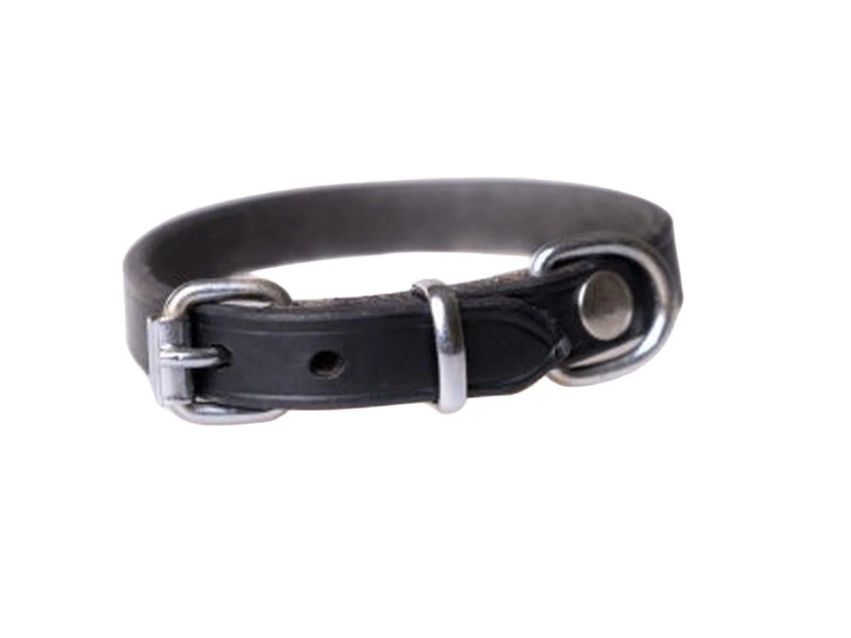 Active Canis Leather Collar Black svart lærhalsbånd til hund