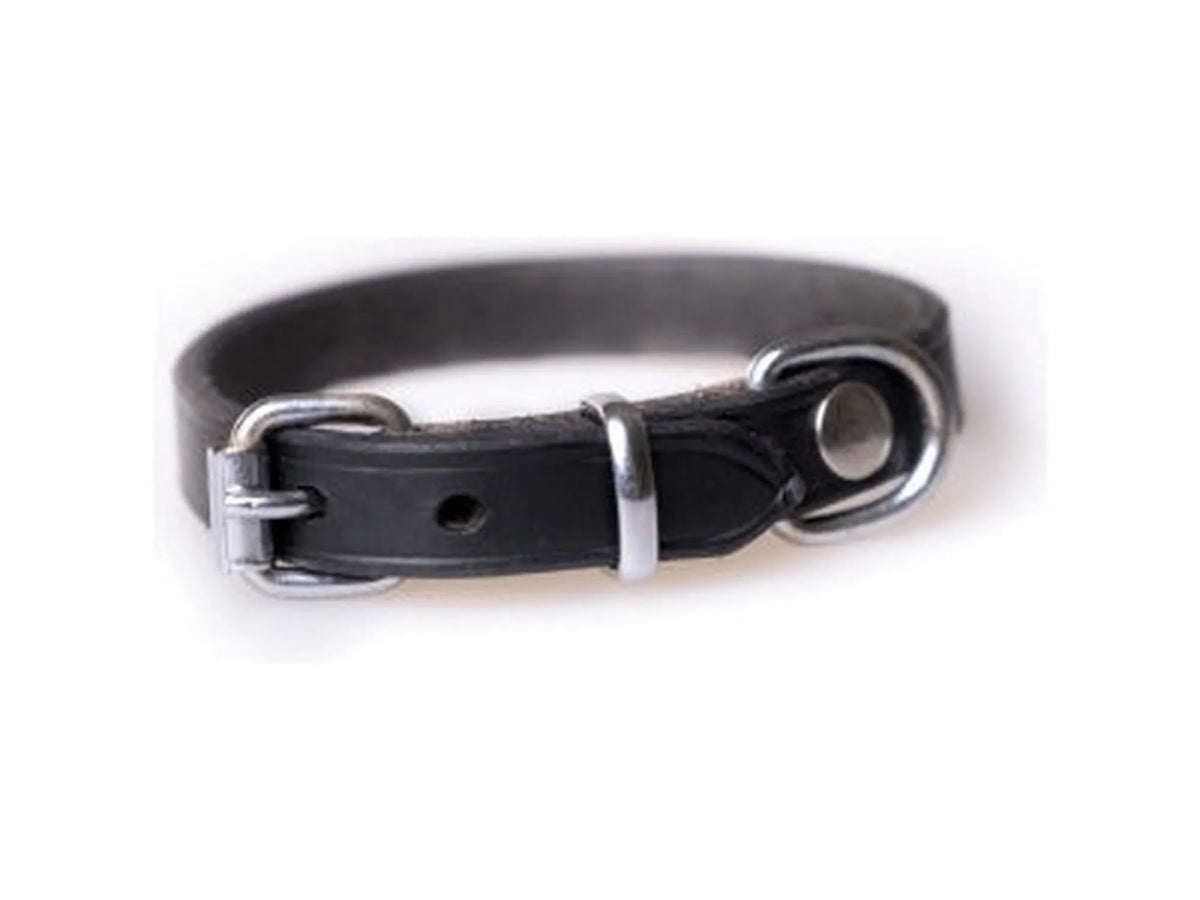 Active Canis Leather Collar Black svart lærhalsbånd til hund