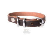 Active Canis Leather Collar Brown brunt lærhalsbånd til hund