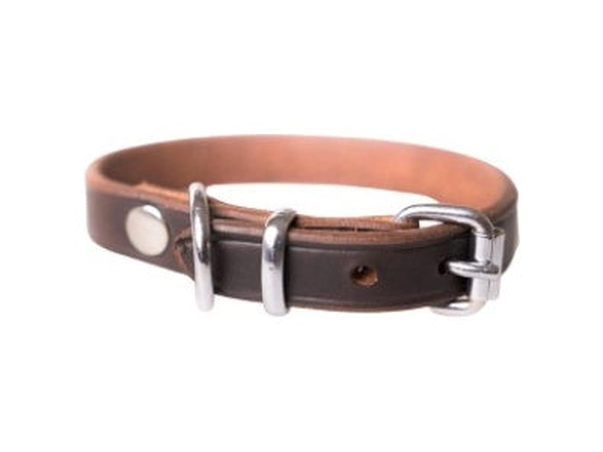 Active Canis Leather Collar Brown brunt lærhalsbånd til hund