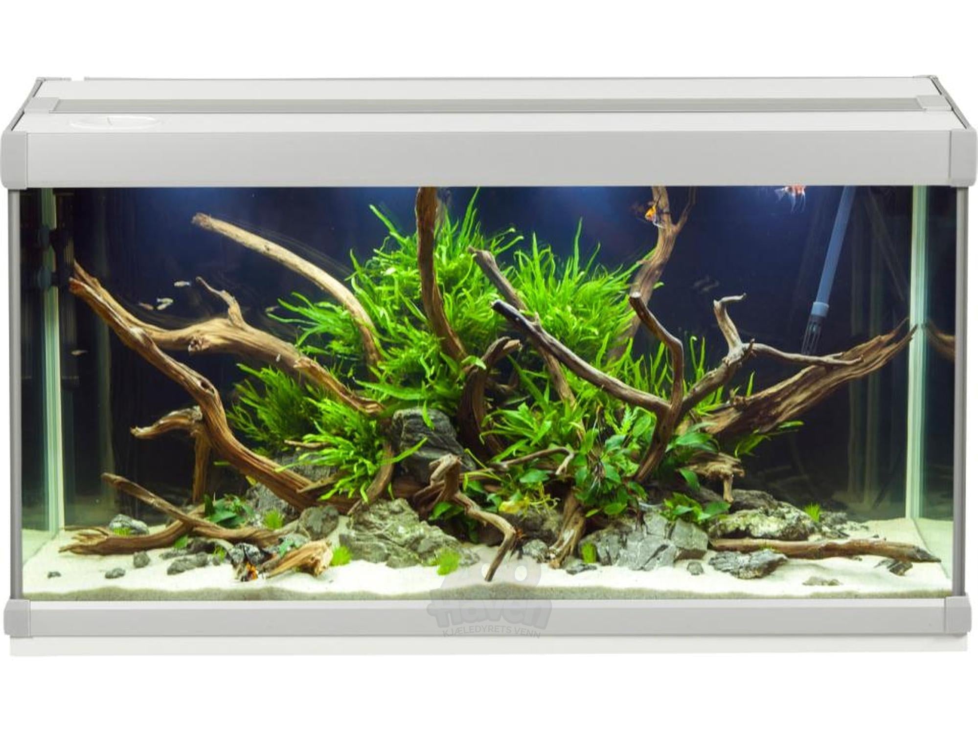 AkvaStabil FAMILY Akvarium – 54L / 80L / 112L