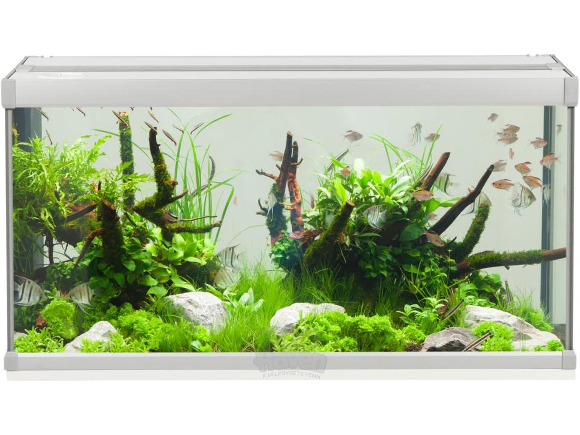 AkvaStabil FAMILY Akvarium – 54L / 80L / 112L