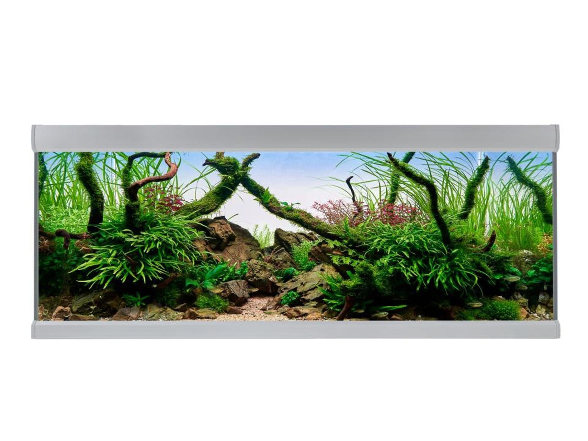 AkvaStabil FUSION akvarium med sølvfarget aluminiumsramme, fylt med frodige grønne planter og drivved.