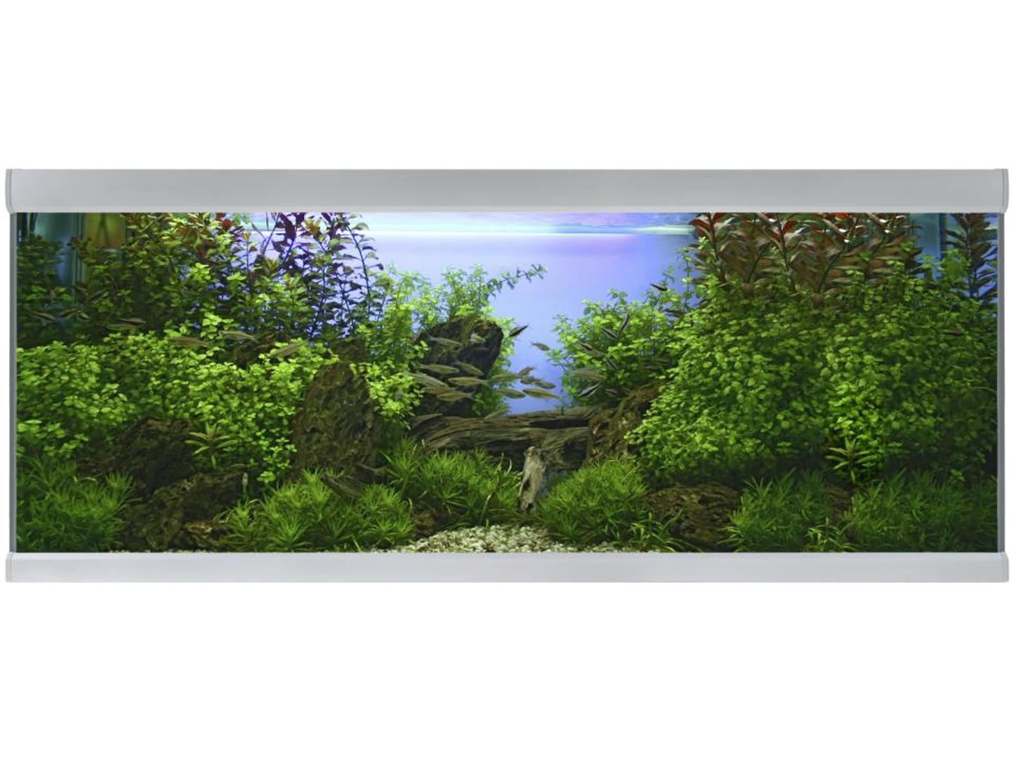 AkvaStabil FUSION akvarium med hvite aluminiumsprofiler, frodig grønt plantelandskap og små fisker.