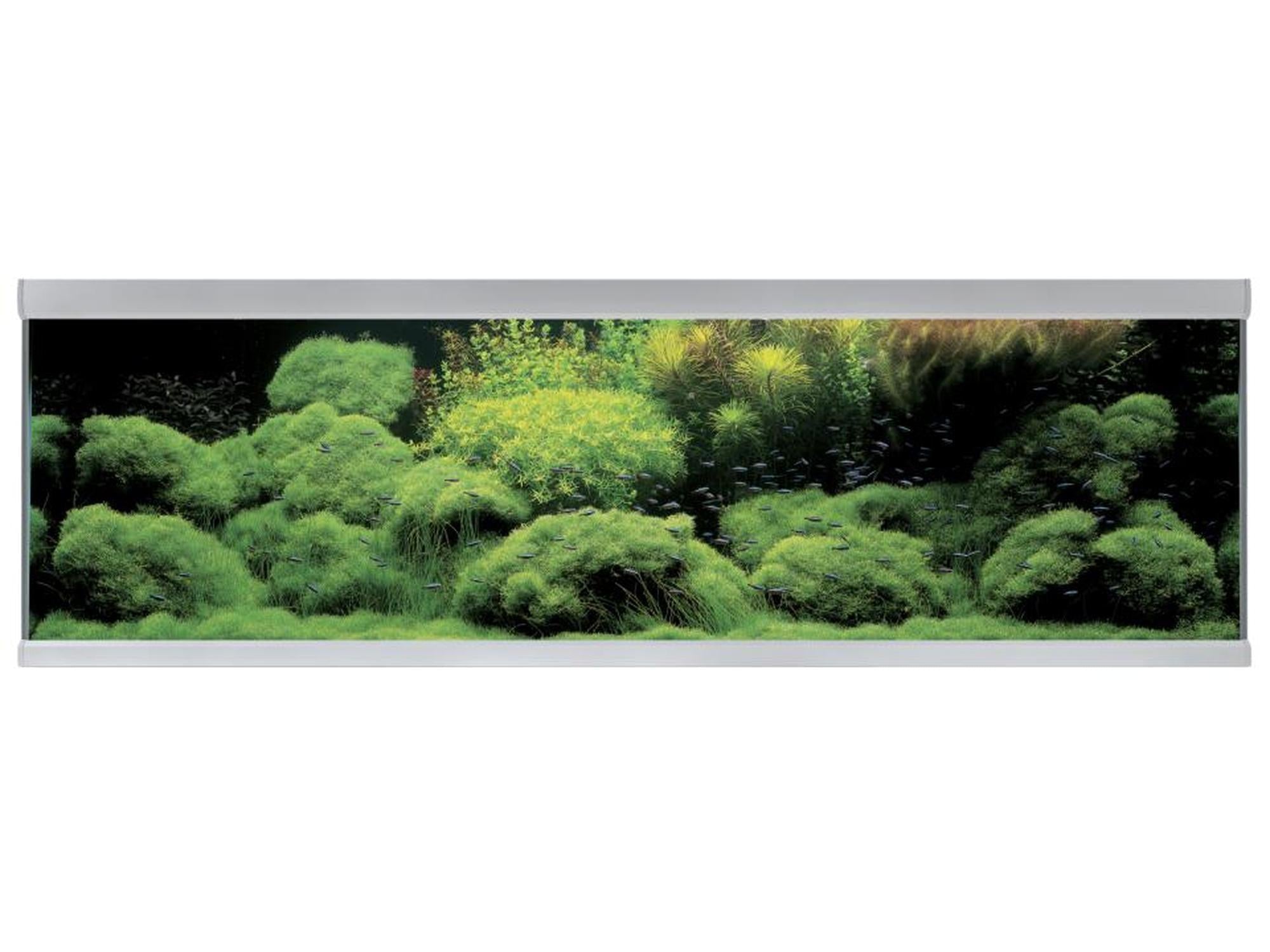 AkvaStabil FUSION akvarium med sølv aluminiumsprofiler, frodig grønn beplantning og fisk.