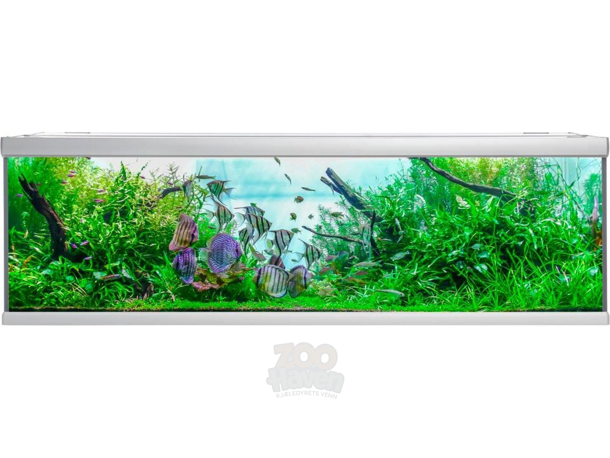 AkvaStabil FUSION Akvarium – 250L / 325L / 576L / 720L / 900L