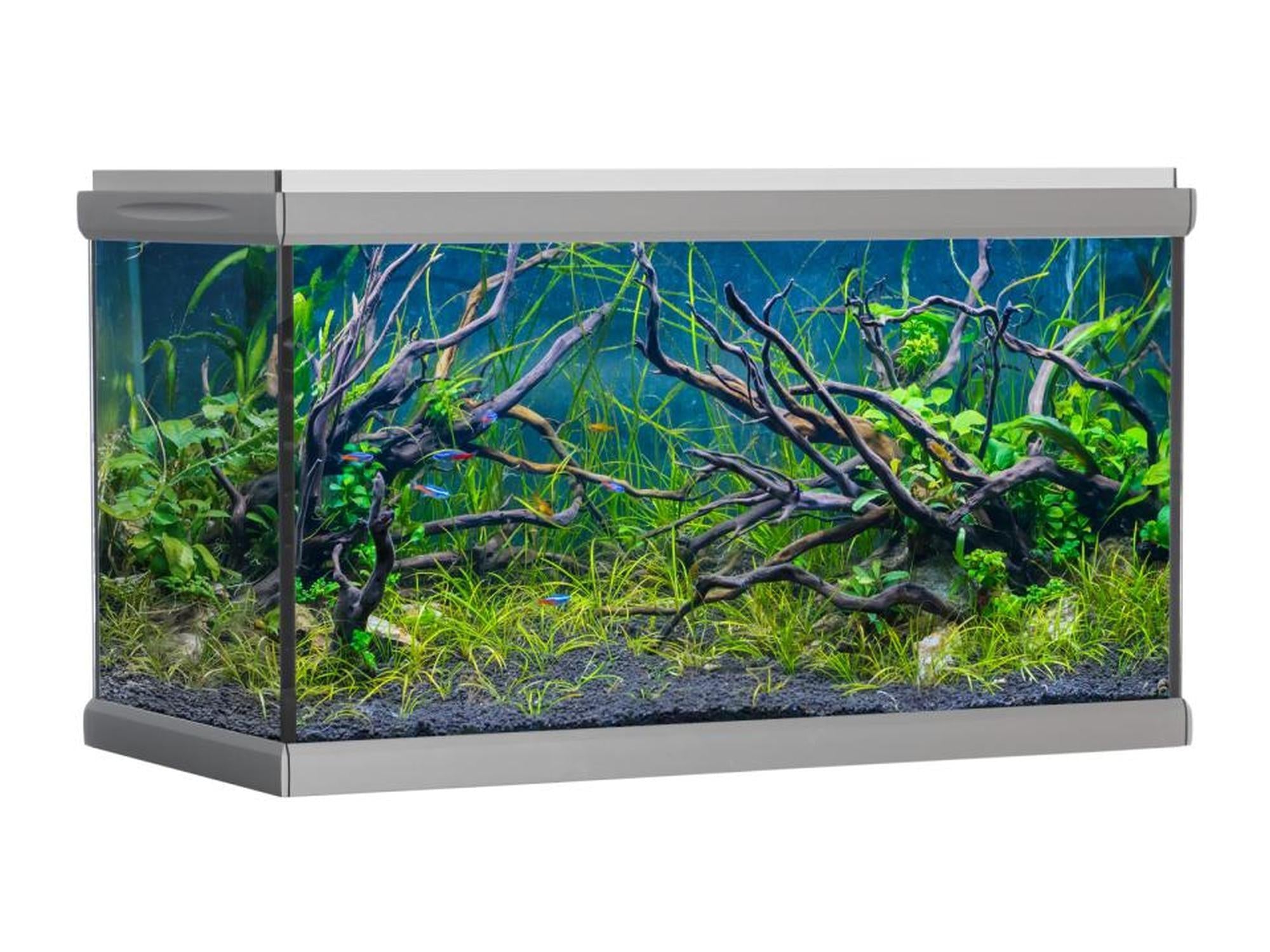 AkvaStabil MOVE designerakvarium i grå med treverk, planter og småfisk.