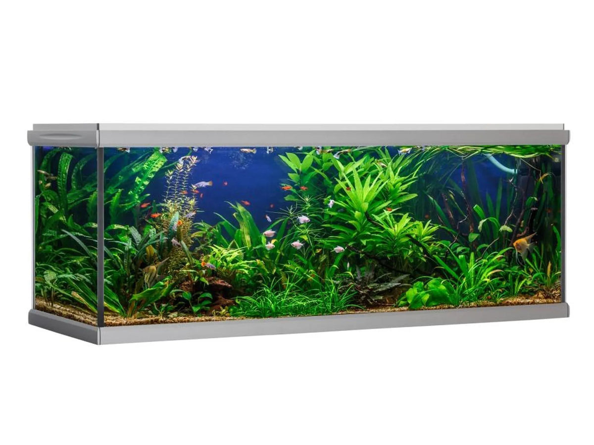 AkvaStabil MOVE designerakvarium i sølvfarget aluminium, fylt med frodige planter og fargerike fisker.