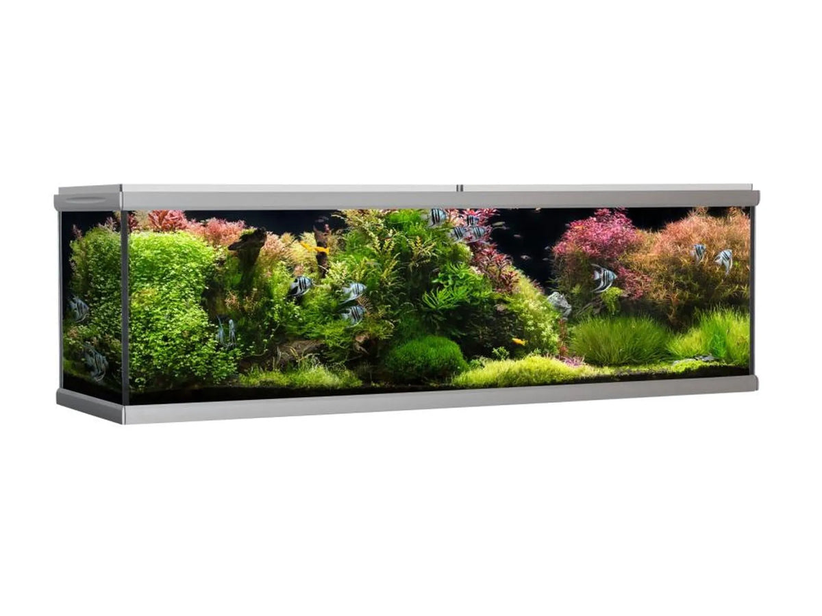 AkvaStabil MOVE designerakvarium i sølvfarget aluminium, fylt med frodige planter og fisk.
