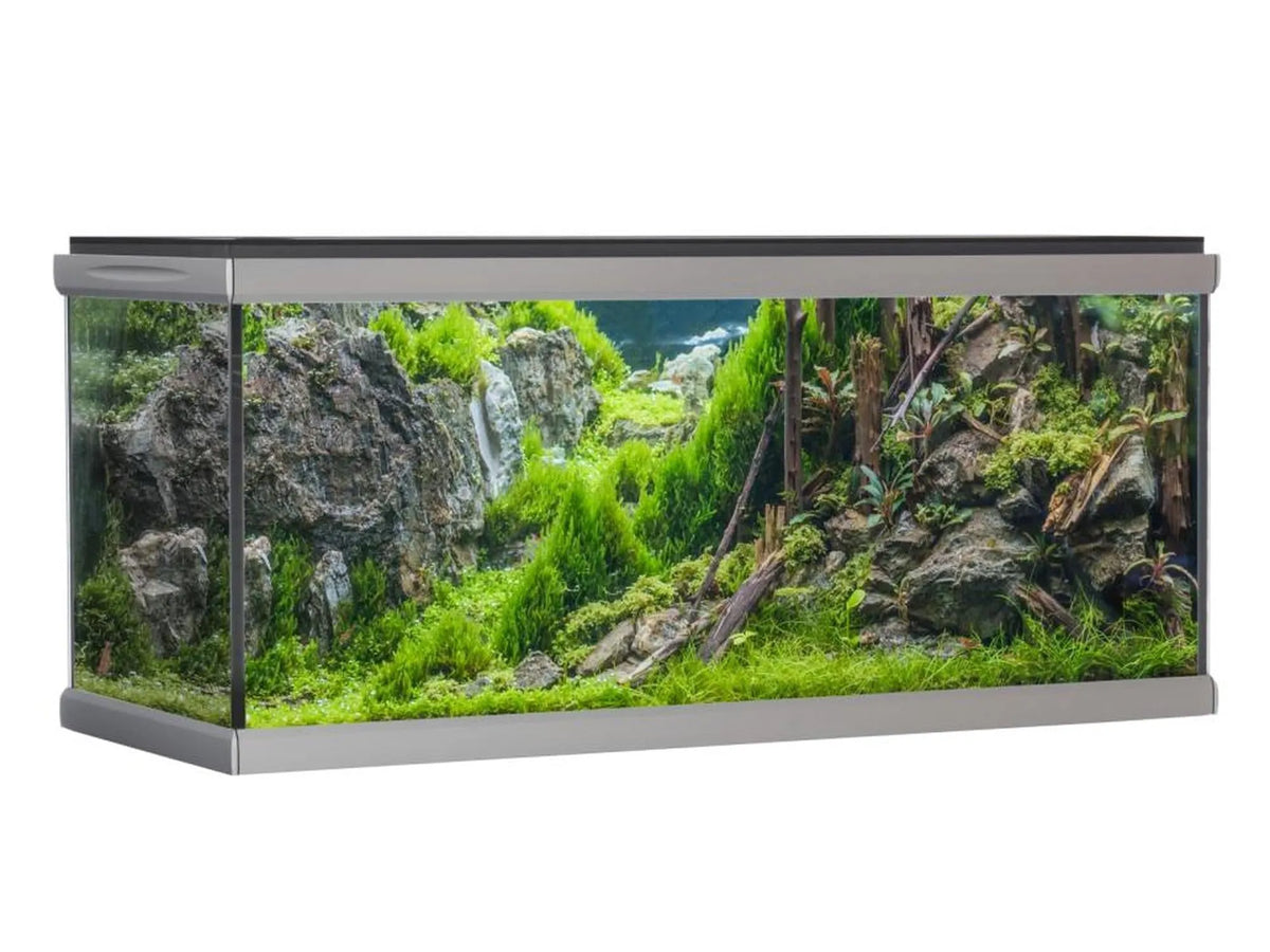 AkvaStabil MOVE designerakvarium med sølvramme, innredet med grønne planter og steiner.