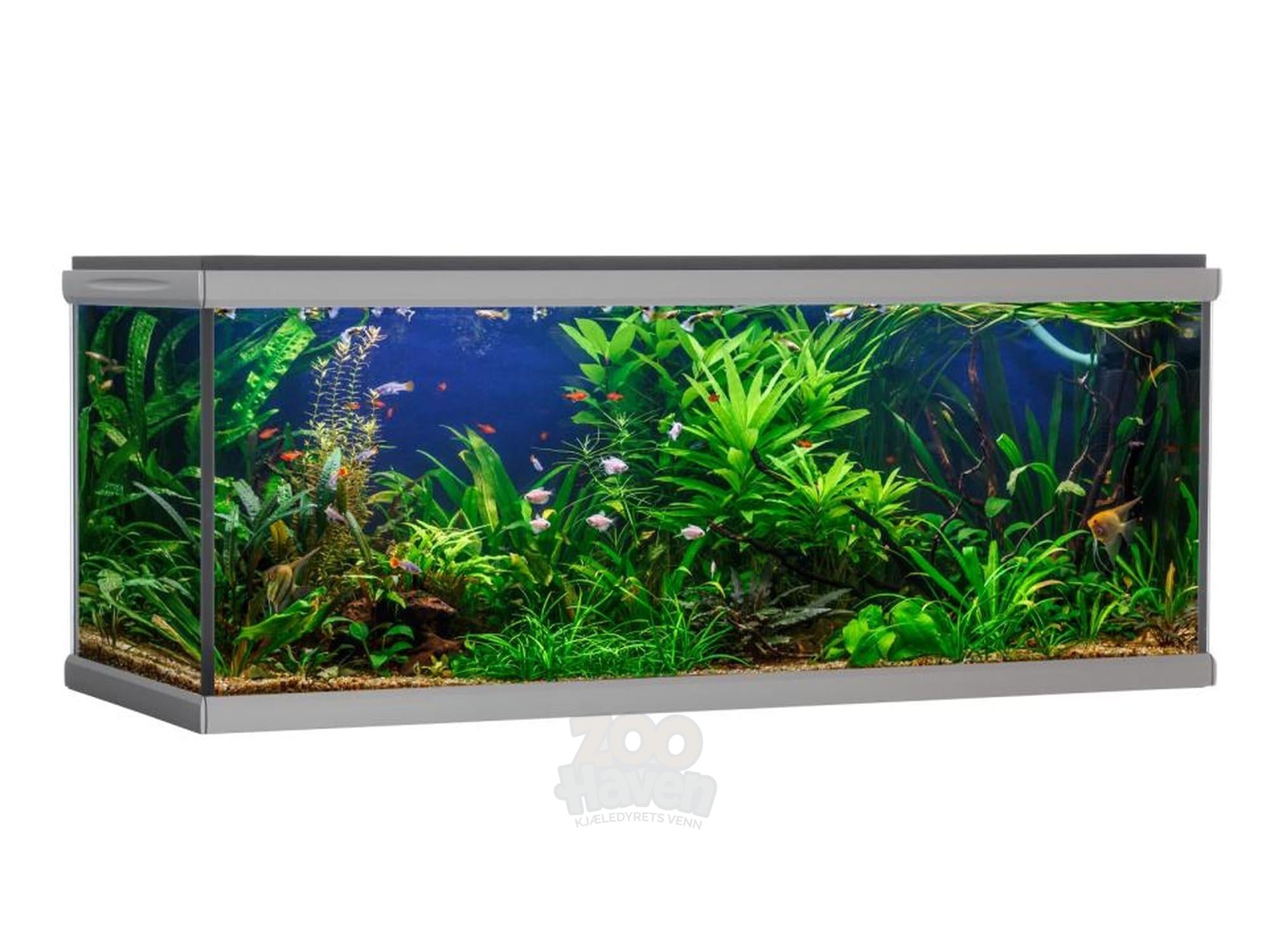 AkvaStabil MOVE Akvarium – 275L / 360L / 576L / 720L