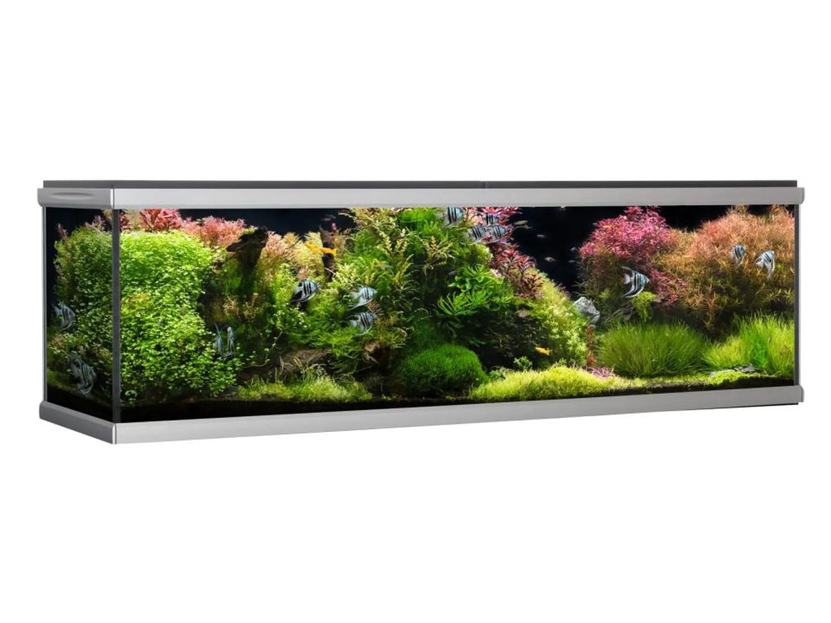AkvaStabil MOVE designerakvarium i sølv med frodig beplantning og fargerike fisker.