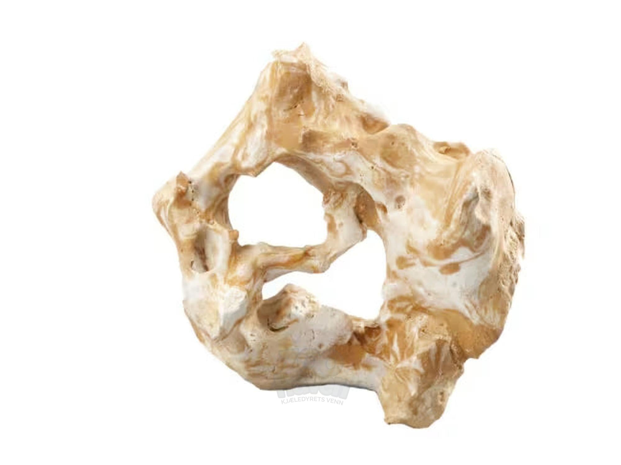 Akvariepynte Combo Fellas 28,5 × 20,5 × 27,5 cm dekorasjon