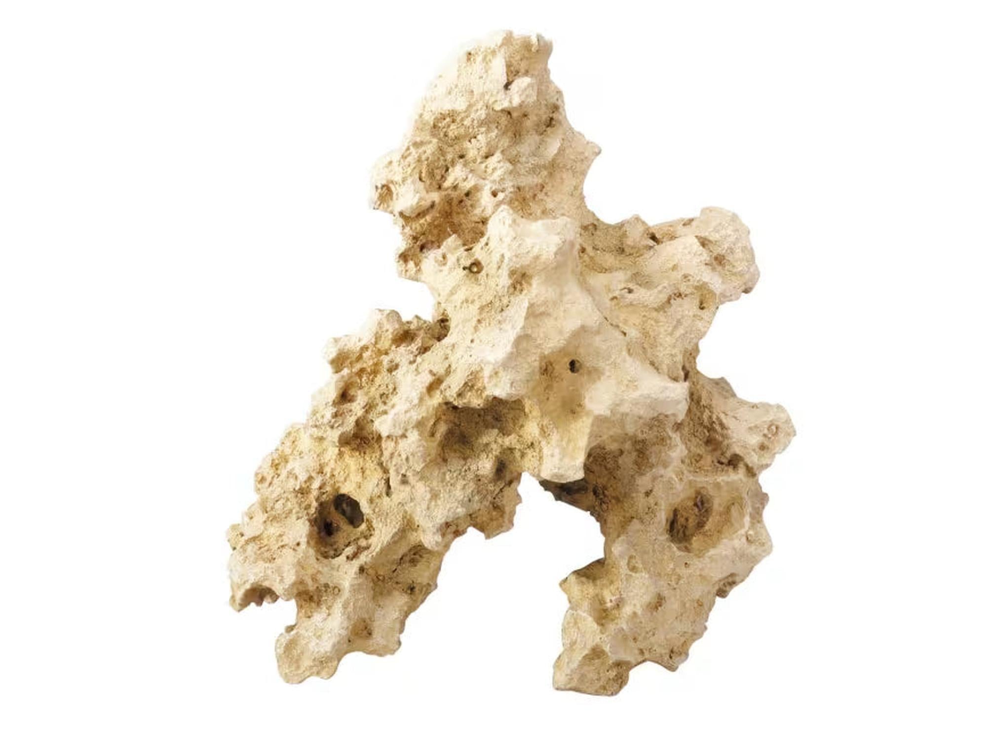 Beige XL akvariepynte stein med naturlig, porøs struktur og flere hulrom.