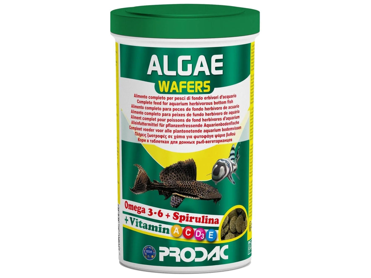 Prodac Algae Wafers fiskefôr i grønn og hvit beholder med bilder av fisk og Omega 3-6 + Spirulina.