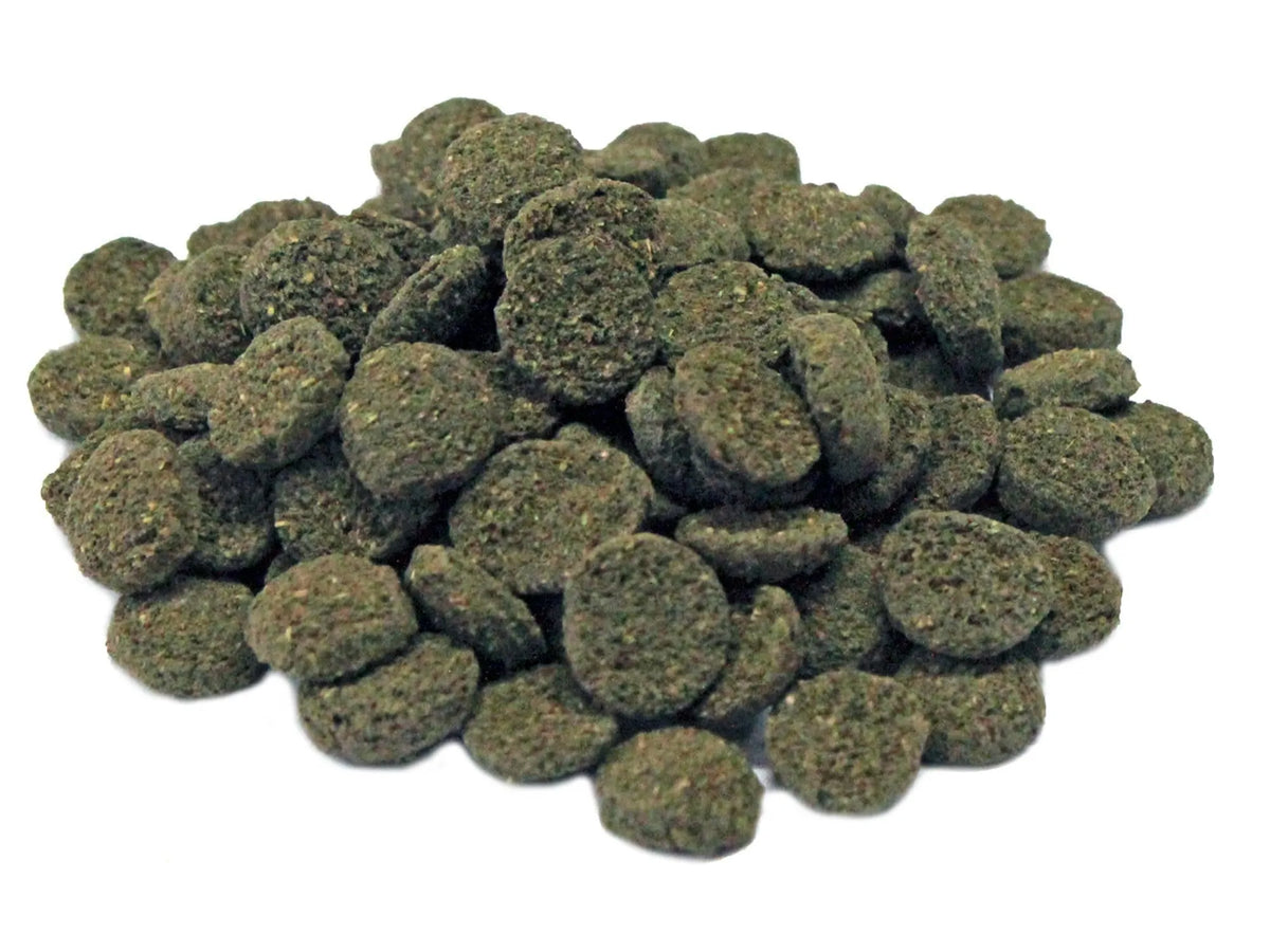 En haug med mørkegrønne, runde Prodac Algae Wafer Mini tabletter for akvariefisk.