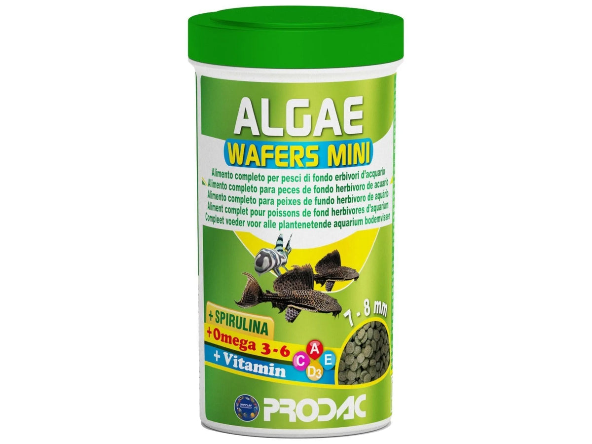Prodac Algae Wafer Mini fiskefôr i en hvit beholder med grønt lokk og etikett.