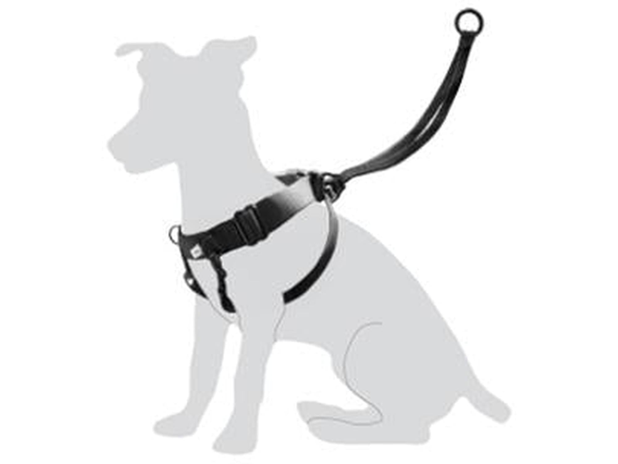 Svart Flamingo Easy Walker antitrekksele med frontfeste for bånd, vist på en hundesilhuett.