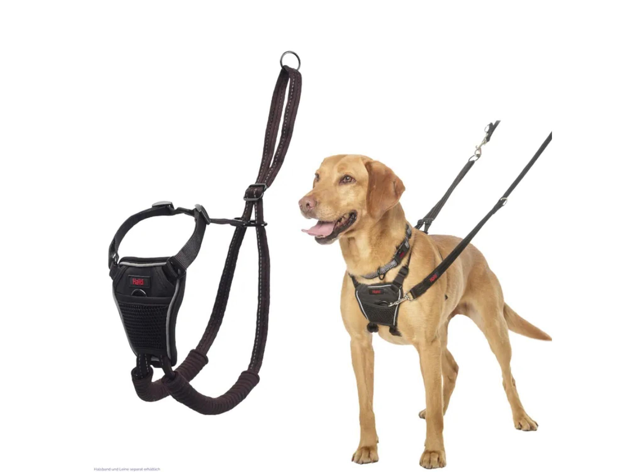 Svart Halti No-Pull antitrekksele i nylon med polstrede bryststropper, vist alene og på en gul labrador.