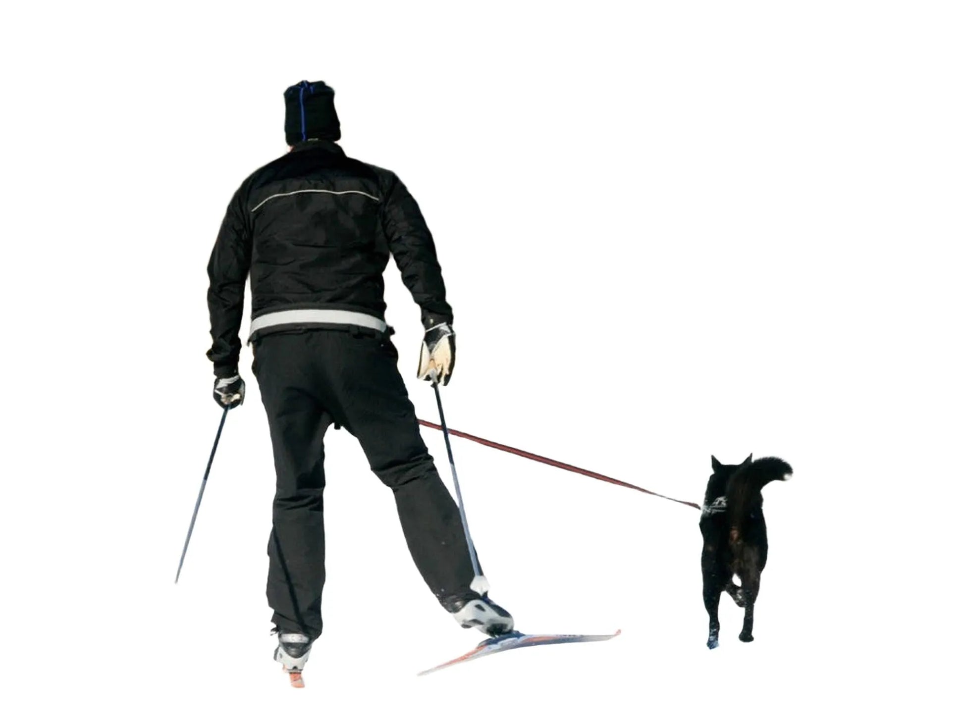 Mann på ski med svart BAGGEN Softbelt Reflex X2 og hund i snølandskap.