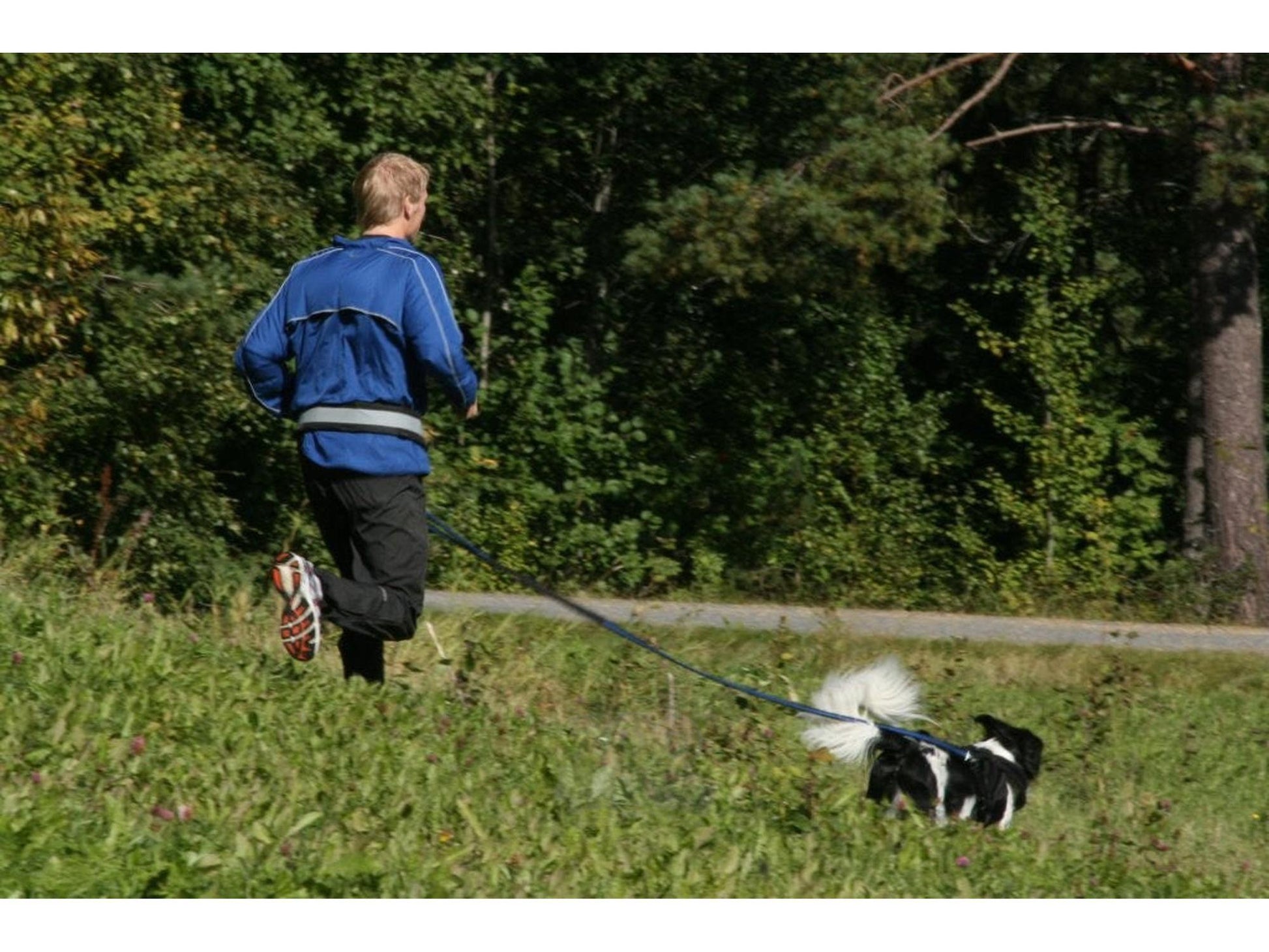 Mann i blå jakke og svart bukse løper med svart/hvitt hund koblet til et svart BAGGEN Softbelt Reflex X2.