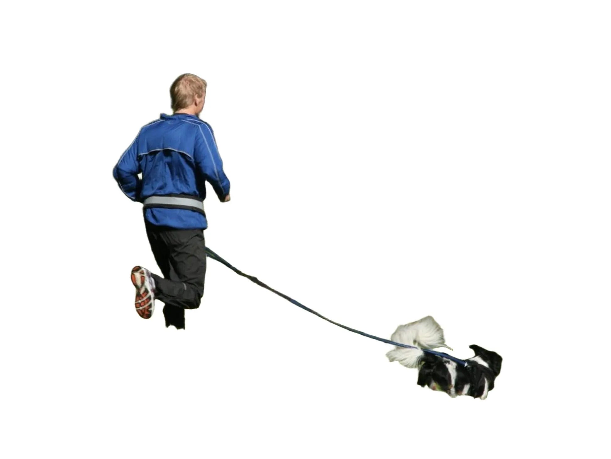 Mann i blå jakke og svart bukse løper med svart/hvitt hund koblet til et svart BAGGEN Softbelt Reflex X2.