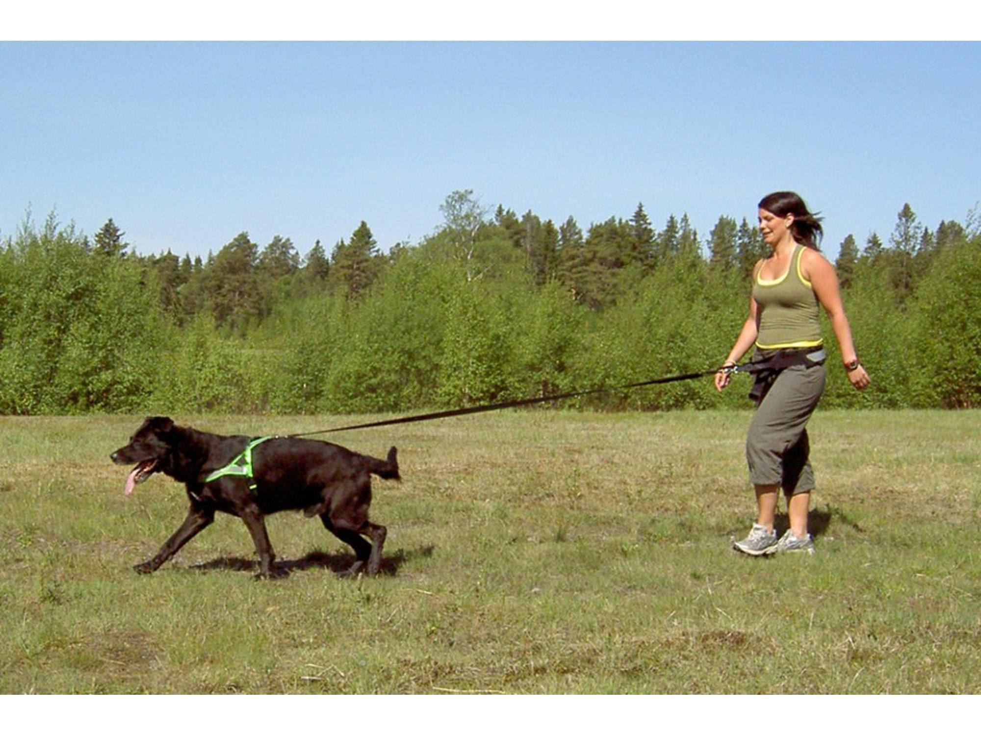 Kvinne og svart hund med grønn sele går i gress. Hundeførerbelte med ekspander.