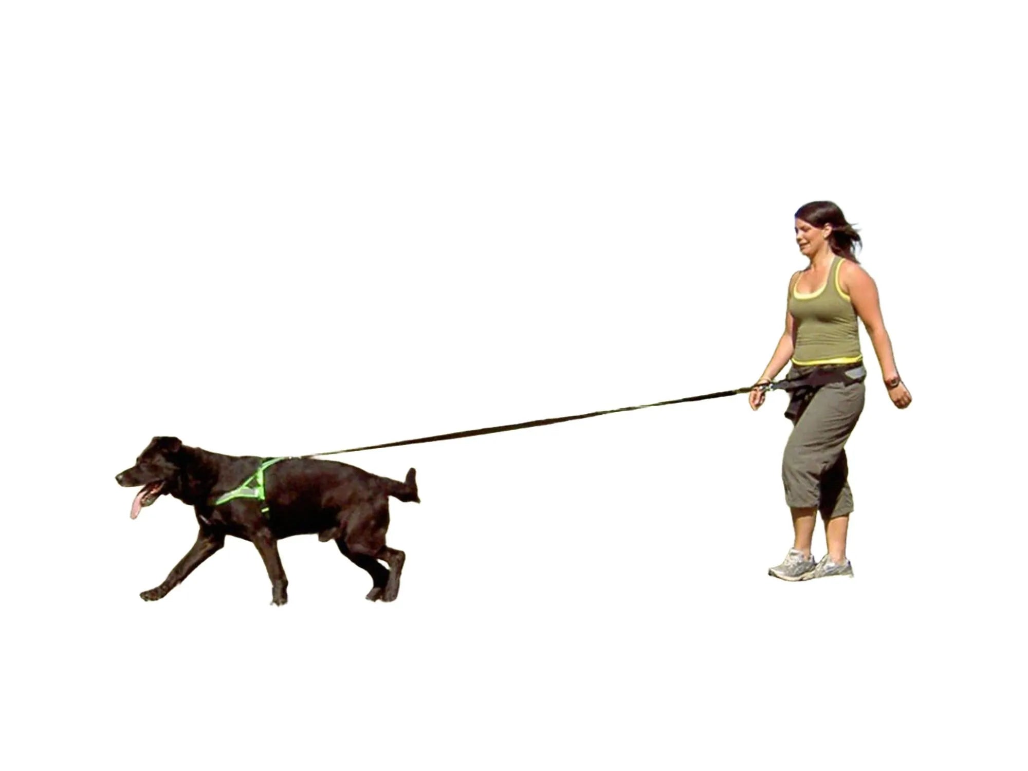 Kvinne og svart hund med grønn sele går i gress. Hundeførerbelte med ekspander.