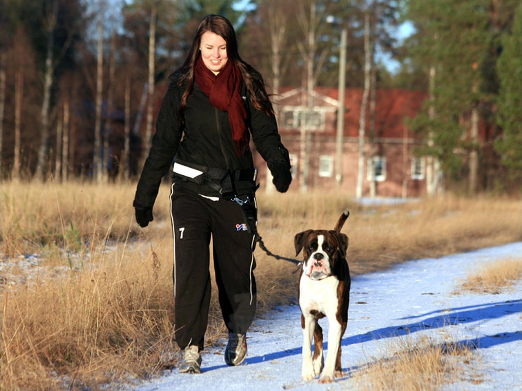 Kvinne går tur med boxerhund i snølandskap, iført BAGGEN Softbelt Standard X1 hundeførerbelte.