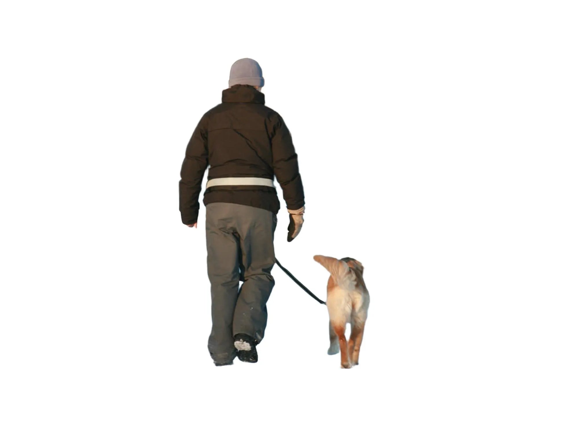 Person i mørk jakke og grå lue går med hund i snølandskap, iført BAGGEN Softbelt Standard X1.