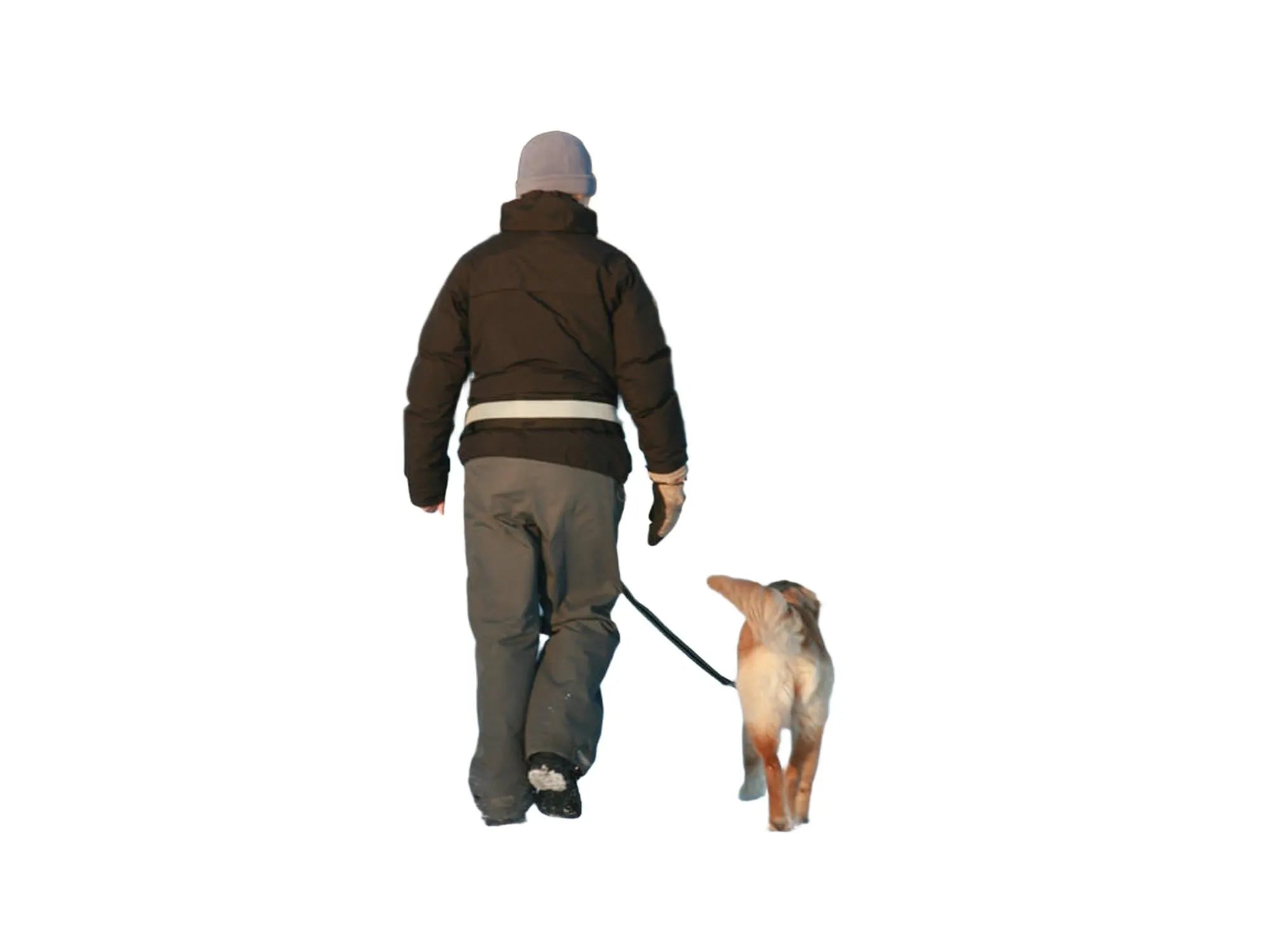 Person i mørk jakke og grå lue går med hund i snølandskap, iført BAGGEN Softbelt Standard X1.