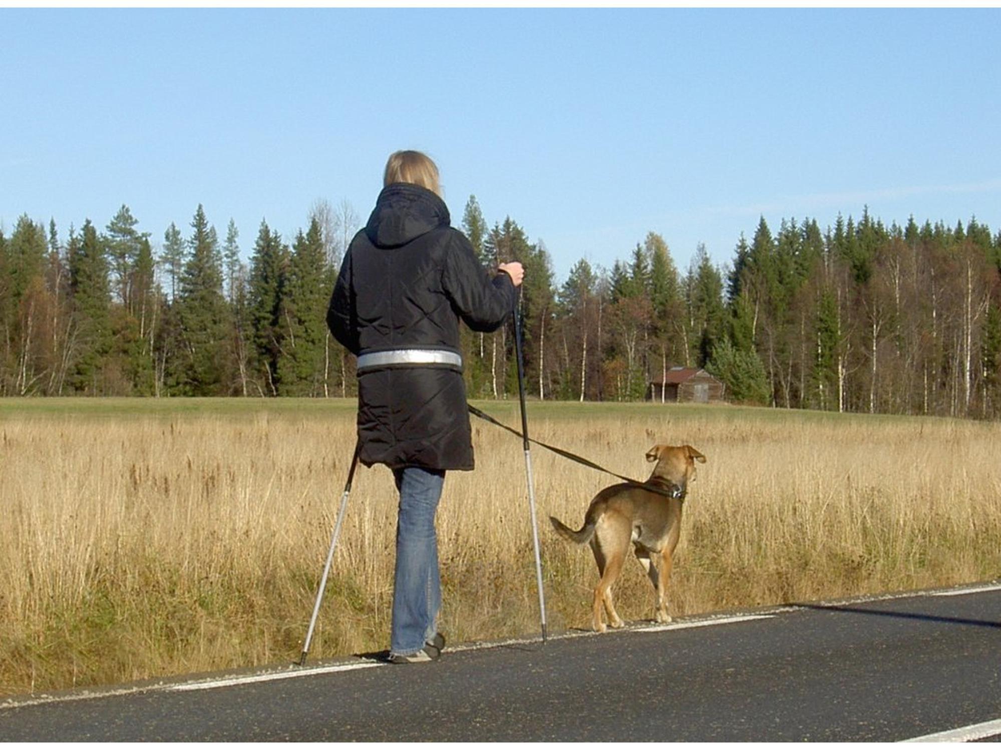 Kvinne med svart BAGGEN Softbelt Standard X1 hundeførerbelte og staver, går tur med hund på landevei.