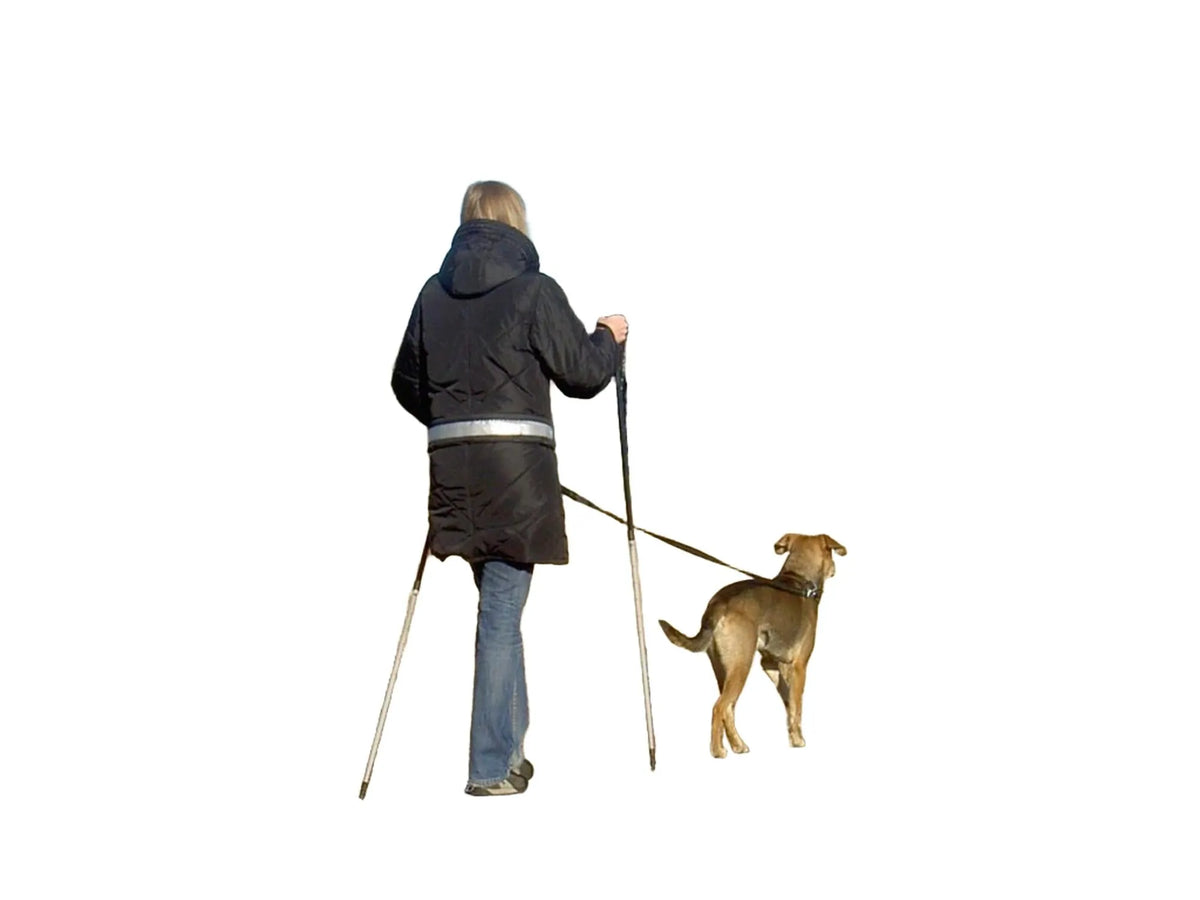 Kvinne med svart BAGGEN Softbelt Standard X1 hundeførerbelte og staver, går tur med hund på landevei.