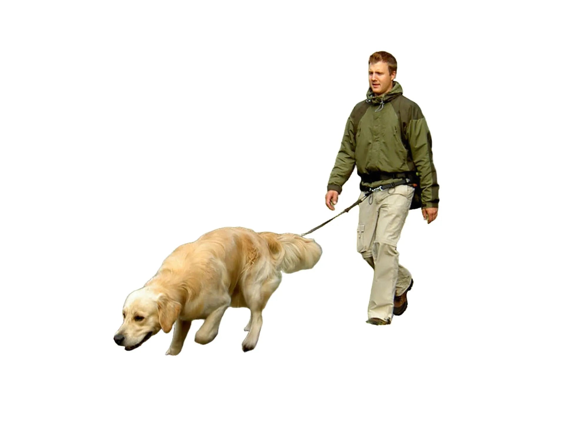 Mann med gyllen retriever i skog, bruker svart BAGGEN Softbelt Standard X1 hundeførerbelte.