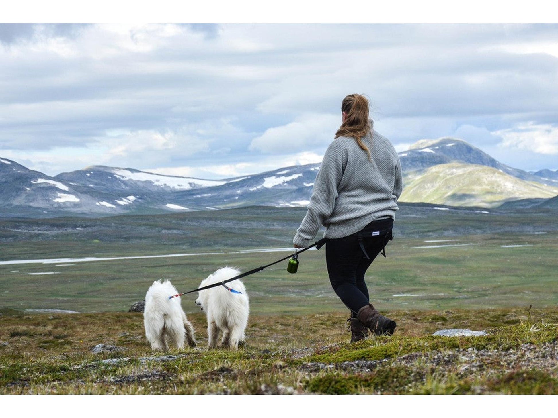 Kvinne med grå BAGGEN Softbelt Race X2 og to hvite hunder i fjellandskap.