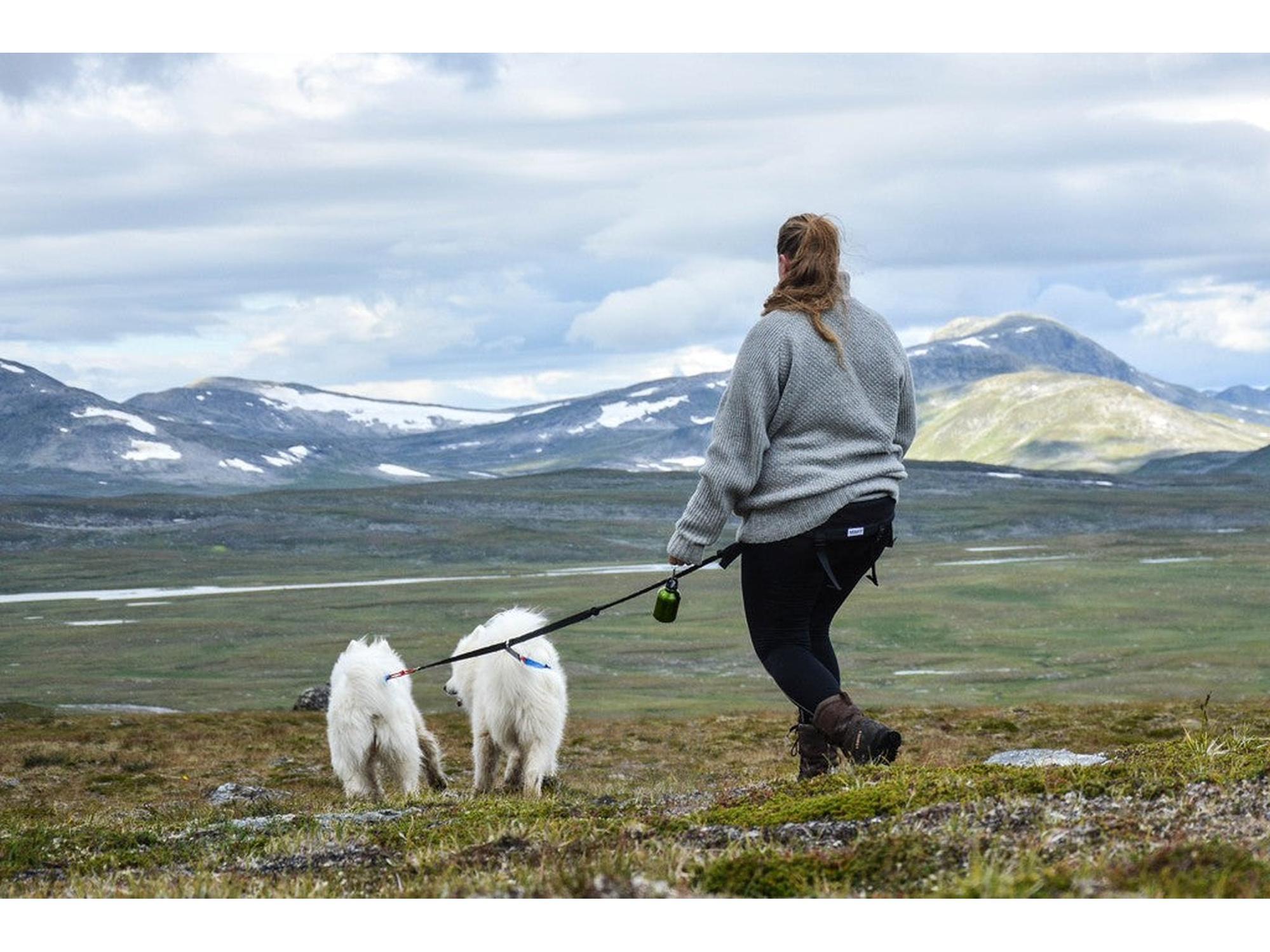 Kvinne med grå BAGGEN Softbelt Race X2 og to hvite hunder i fjellandskap.